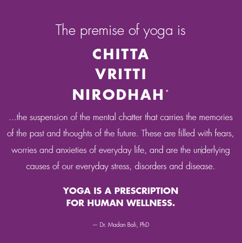 premise of yoga
