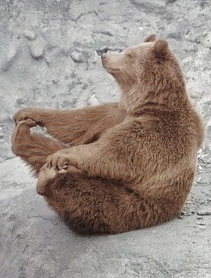 happy bear pose