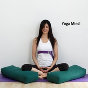 Rana Waxman Yoga Mind CD Portable Peacefulness