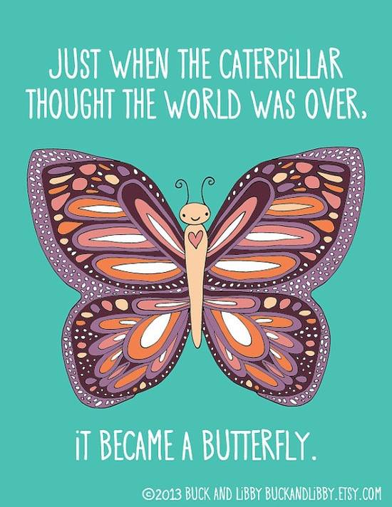 the caterpillar's world