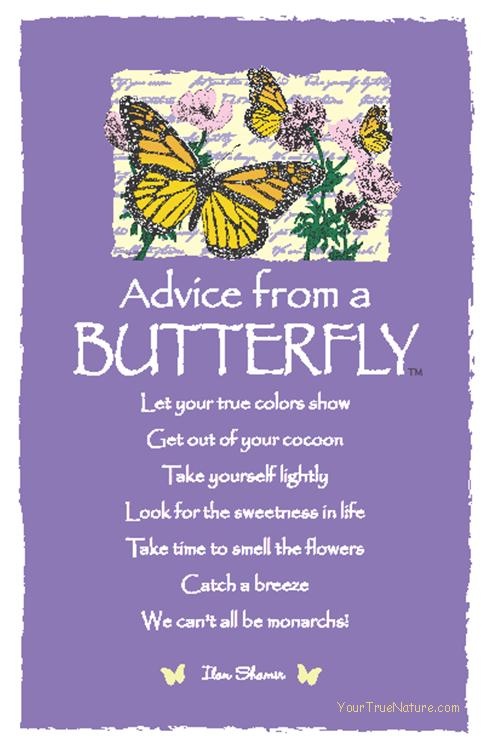 advice from a butterfly