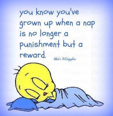 the reward of a nap