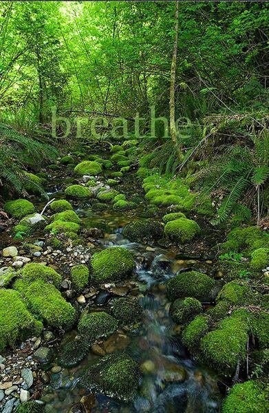 breathing for relaxation 
