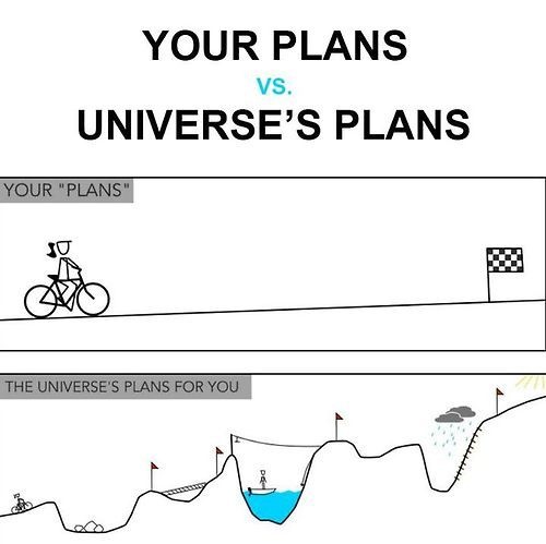 your plans or the universe's plans